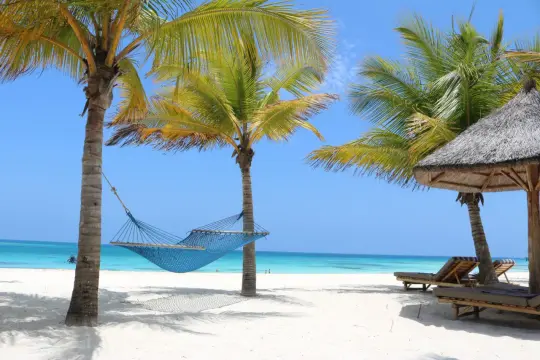 Błękitna hamak między palmami na białej plaży. Idealne miejsce, by odpocząć i zastanowić się, gdzie leży Zanzibar.