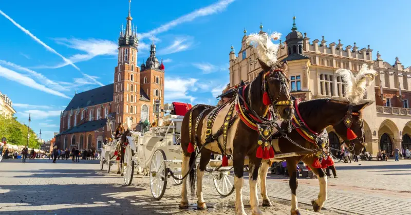 Kraków zaprasza! Konne przejażdżki po Rynku Głównym, podziwiając Bazylikę Mariacką i Sukiennice. To idealne miejsce, by poczuć atmosferę miasta i zobaczyć, co można zwiedzić w Krakowie.